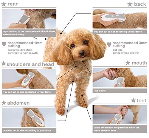 BPS Cortapelo para Perro Gato Esquiladora Eléctrica Maquina Cortar Pelo Perro Recargable Bajo Nivel de Ruido Color Plata BPS-7902