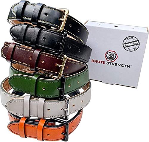 Brute Strength - Lujoso collar de cuero para perros - Naranja - S - (26 - 33 cm) x 1,5c