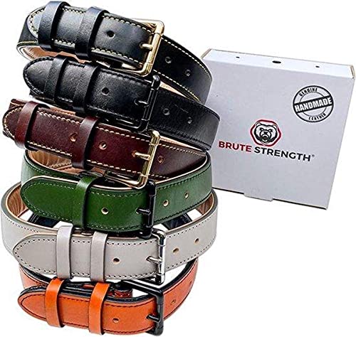 Brute Strength - Lujoso collar de cuero para perros - Naranja - S - (26 - 33 cm) x 1,5c
