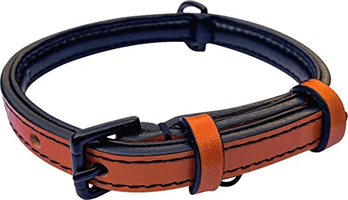 Brute Strength - Lujoso collar de cuero para perros - Naranja - S - (26 - 33 cm) x 1,5c