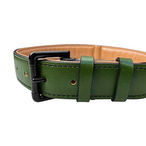 Brute Strength - Lujoso collar de cuero para perros - Verde oscuro - L - (46 - 53 cm) x 3,5cm