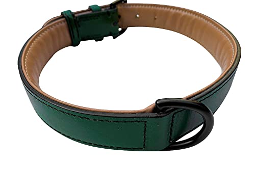 Brute Strength - Lujoso collar de cuero para perros - Verde oscuro - L - (46 - 53 cm) x 3,5cm