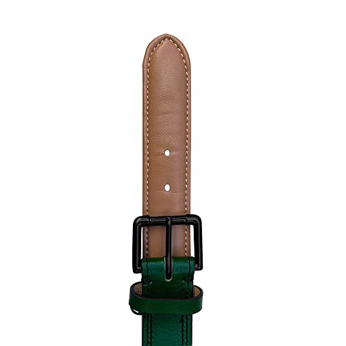 Brute Strength - Lujoso collar de cuero para perros - Verde oscuro - L - (46 - 53 cm) x 3,5cm