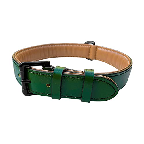 Brute Strength - Lujoso collar de cuero para perros - Verde oscuro - L - (46 - 53 cm) x 3,5cm