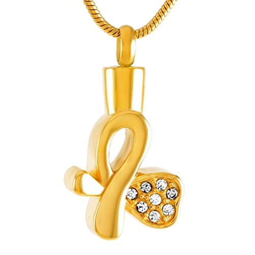 bsepztlmzo Mascotas Recuerdo Collar con Colgante De Cinta De Corazón De Cristal De Acero Inoxidable, Memorial con Cremación para Cenizas, Urna, Recuerdo para Mujer, Joyería