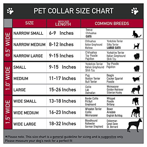 Buckle Down Disney Princess Poses/Castillo Siluetas Morado/Multicolor plástico Clip Collar