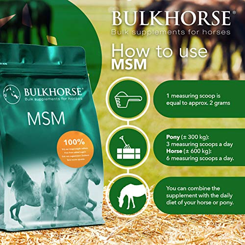 BULKHORSE Polvo MSM | Completamente libre de azúcares añadidos | 3000 gramos