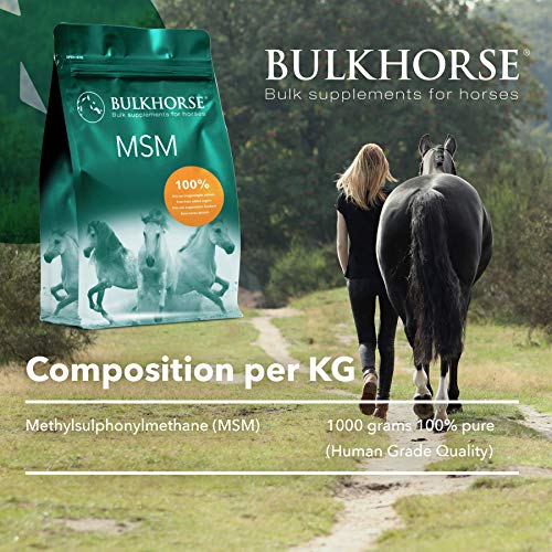 BULKHORSE Polvo MSM | Completamente libre de azúcares añadidos | 3000 gramos