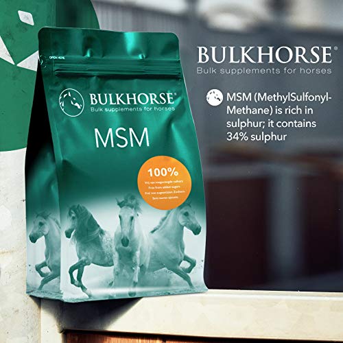 BULKHORSE Polvo MSM | Completamente libre de azúcares añadidos | 3000 gramos