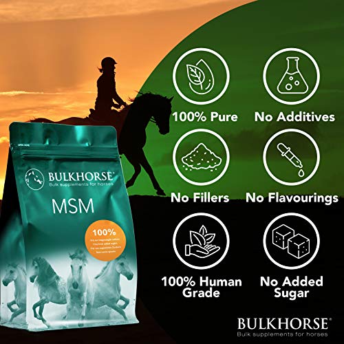 BULKHORSE Polvo MSM | Completamente libre de azúcares añadidos | 3000 gramos