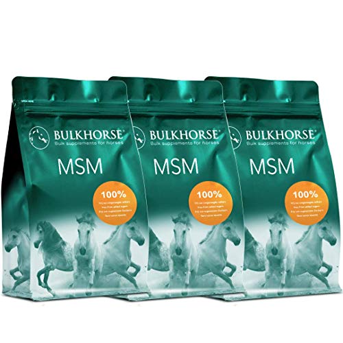 BULKHORSE Polvo MSM | Completamente libre de azúcares añadidos | 3000 gramos