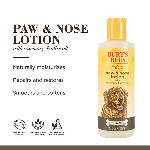 Burt's Bees For Dogs Paw & Nose Lotion by