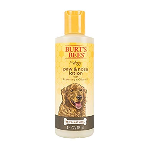 Burt's Bees For Dogs Paw & Nose Lotion by