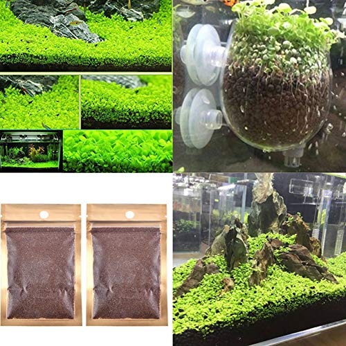C-LARSS 1 Bolsa De Semillas De Plantas De Acuario Para Peceras, Hojas Verdes Acuáticas Alfombra Agua Hierba Decoración L