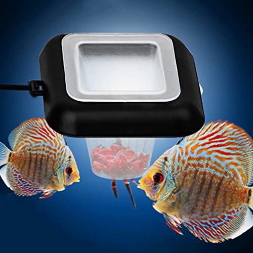 Cabilock 2 Unidades de Peces Alimentadores de Alimentos Flotantes Anillo Alimentador de Peces con Lombrices Rojas para Acuario Tanque de Peces Fuente de Alimentación de Peces