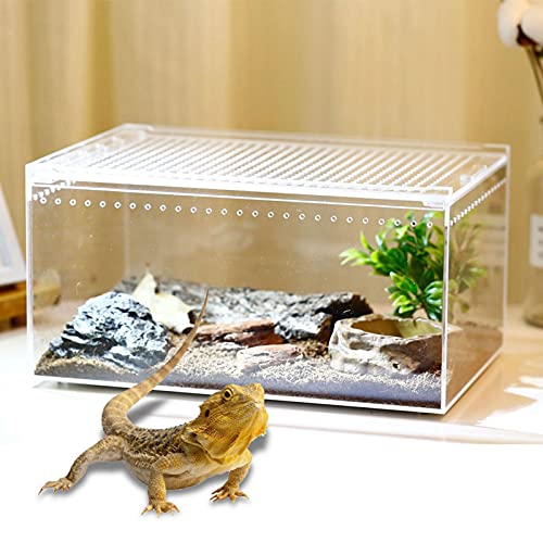 Caja de alimentación para reptiles, multiusos, portátil, acrílico, transparente, para el espacio de vida, terrario, para pequeñas mascotas, serpiente, araña, lagarto, escorpión