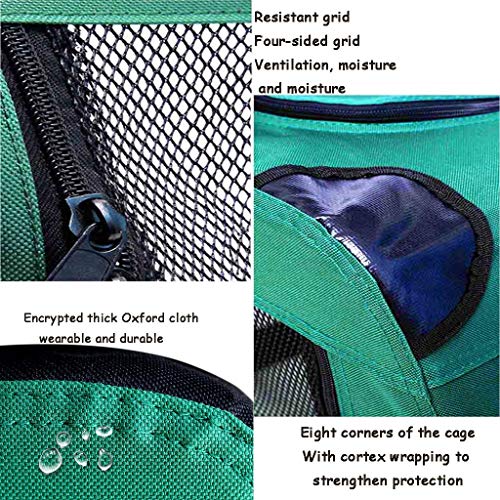 Cajones para el coche Transportín Perro Gato Jaula de perro de coches, perrera plegable, fuera del puerto Carpa perro Portátil, toda la estructura del marco de acero ( Color : Green , Size : 91*63cm )