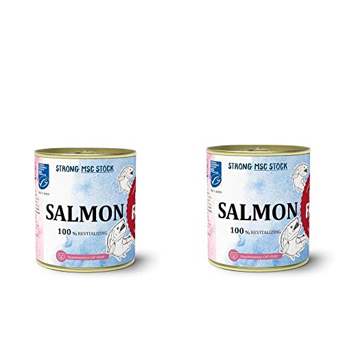 CALDO de SALMÓN para GATO y PERRO - Orgánico con COLÁGENO con Omega 3 y 6, beneficioso para articulaciones - Hidratación Lata 300 ml | ANIMALUJOS (2 CALDOS 600 ML)