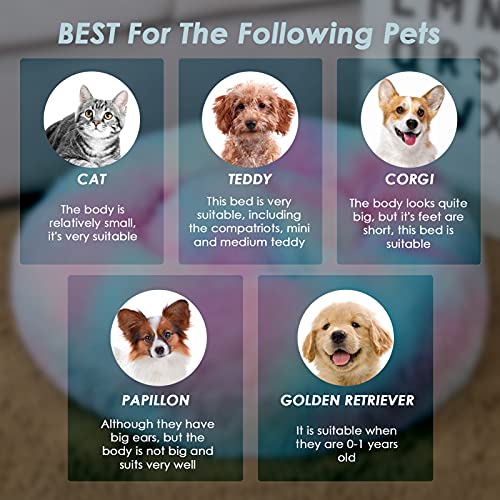 Cama De Gato 50cm Cama De Perro Mediano Pet Bed Cama Gato Redonda Cama para Mascotas Suave CáLida Cama para Perros De Felpa Cama Perros Redonda Cama para Mascotas Relajante Gatos Mullida, Amarillo
