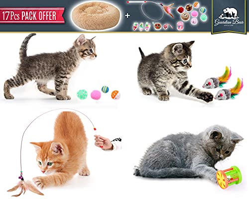 Cama Gato Antiestrés con 16 Juguetes para Gatos, Cama para Gatos Suave Redonda Tipo Donut de 50cm. y Pack de Juguetes para Gatos, Cama para Gatos de Lujo Lavable a Máquina