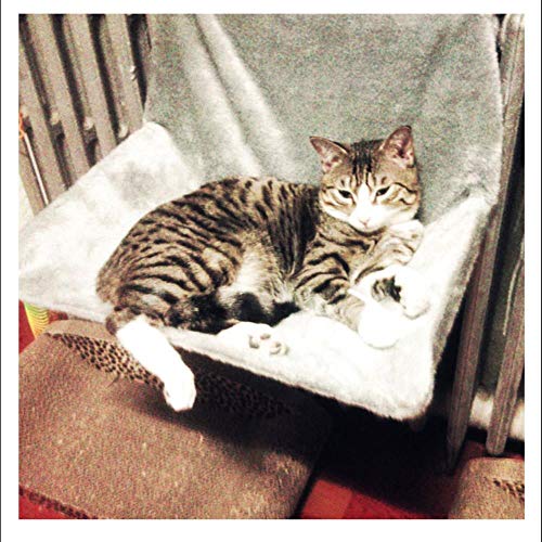Cama para Gatos Suave y cómoda Hamacas de salón Ventana extraíble Alféizar Casa Radiador de Gato Cama Colgante Cojín Suave para Gatos Suministros para Mascotas-Negro, 55x35cm, China