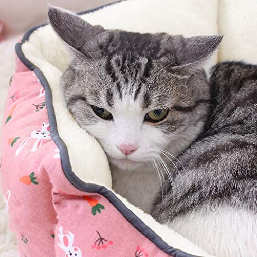 Cama para Mascotas Arena for gatos del amortiguador de la perrera del animal doméstico cama del perro de cuatro estaciones universal perro pequeño Mediana Ley de peluche perro Cojín lucha del gato Sum