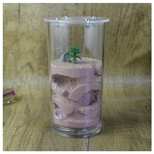 Cama para Perros y Gatos Nido De Hormigas and Farm High Cup Yeso Hormiga Nido Formicarium Formación Hidratante Nest Hábitat Horm Castle House (Color : Brown)