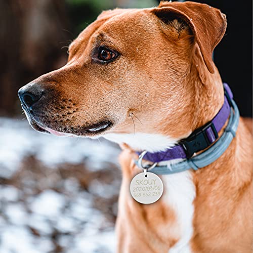 CAMAL Chapa Perro Grabada, 2 Piezas Ronda Placas para Perros y Gatos, 25mm, Chapas Personalizadas (Oro)
