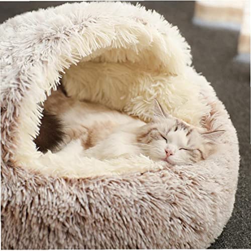 Camas Cat para Gatos Interiores MISLIO Cava Cava DE Cava DE PLUTE Cama DE CABLA DE Pet Pet Sofa DE Sofa DE Sofa Cama DE Caja DE Caja DE Caja para PEQUEÑO Perro DE Perro por PUCHO DE Perro