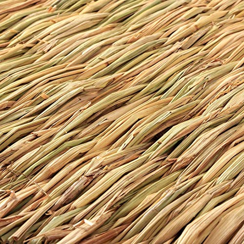 CAMITER 5pcs Alfombra de césped para Animales pequeños, Natural Tejida a Mano, Juguete masticable para hámsters, Conejos, Loros, cobayas y Hurones