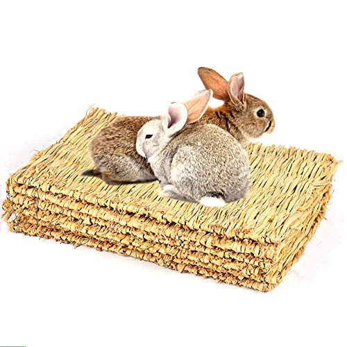 CAMITER 5pcs Alfombra de césped para Animales pequeños, Natural Tejida a Mano, Juguete masticable para hámsters, Conejos, Loros, cobayas y Hurones
