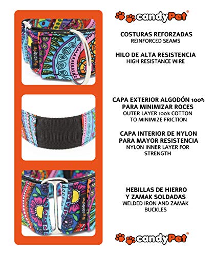 candyPet Collar Martingale para Perros-Modelo Peacock, S: Ancho 4 cm (30-40cm diámetro)