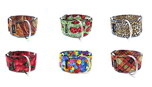 candyPet Collar Martingale para Perros-Modelo Peacock, S: Ancho 4 cm (30-40cm diámetro)