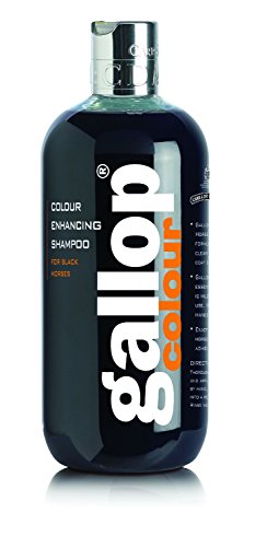 CARR & DAY & MARTIN Gallop Colour Enhancing Champú, Negro