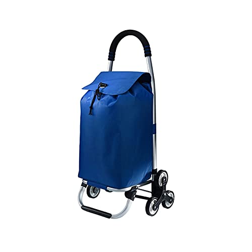 Carrito de la compra Carrito de la compra plegable Carrito de la compra pequeño Carrito de la compra de servicio pesado Carro de servicio público Subir escaleras para el supermercado Carro de lavander