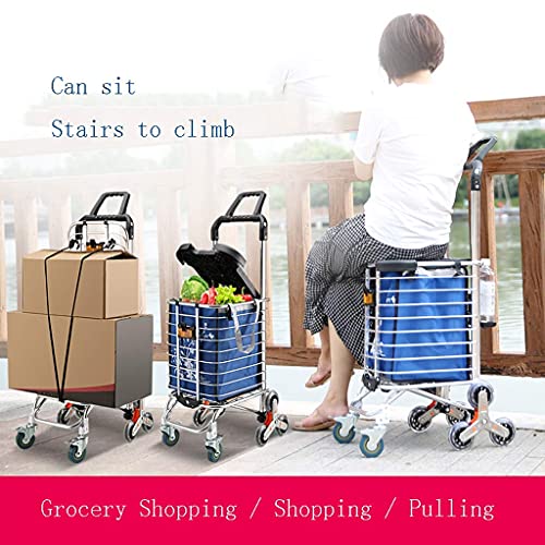 Carrito de la compra Los carritos de la compra se pueden plegar y transportar fácilmente Carritos que ahorran espacio Carros de la compra de comestibles Escaleras ligeras Carrito de la compra (Color: