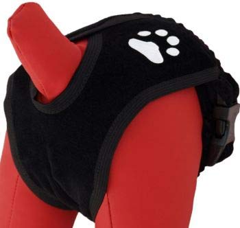 Cat-Or-Dog.Boutique - Braga higiénica de protección para perro, gato, cachorro, 6 (XXL) - 60-75 cm