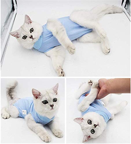 Cat - Traje de recuperación quirúrgica profesional para gatos para heridas abdominales o enfermedades de la piel (M, azul)