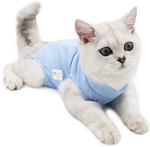 Cat - Traje de recuperación quirúrgica profesional para gatos para heridas abdominales o enfermedades de la piel (M, azul)