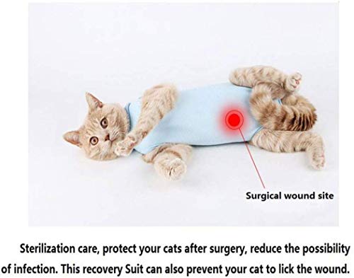 Cat - Traje de recuperación quirúrgica profesional para gatos para heridas abdominales o enfermedades de la piel (M, azul)