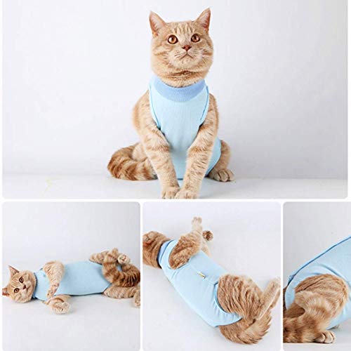 Cat - Traje de recuperación quirúrgica profesional para gatos para heridas abdominales o enfermedades de la piel (M, azul)