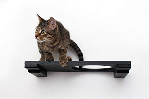 CatastrophiCreations Cat Mod Escape Hatch Hecho a Mano Pared elevada, ónice, Talla única