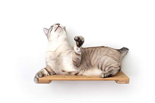 CatastrophiCreations Cat Mod - Estante de 45,7 cm Hecho a Mano con Pared elevada, ónice