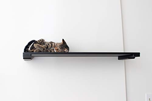 CatastrophiCreations Cat Mod - Estante Hecho a Mano con Pared elevada, sin Acabado, Talla única