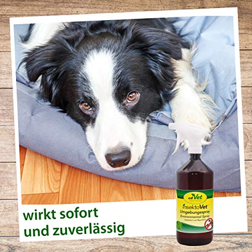 cdVet Naturprodukte InsektoVet Ambiental Spray 500 ml - Control de pulgas en Todas Las etapas de Desarrollo - Limpiador Natural para amarres, establos, sofás, Mantas, Coches, etc -