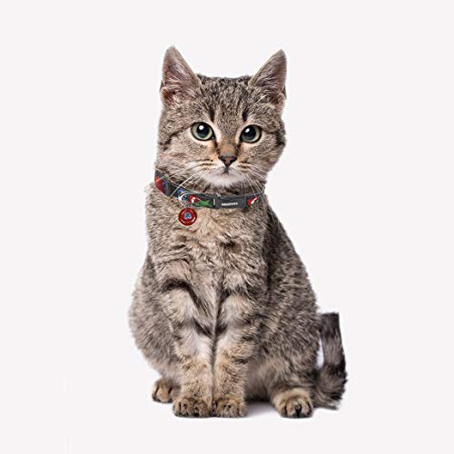 CERDÁ LIFE'S LITTLE MOMENTS Collar Perro Mediano de Marvel® - Licencia Oficial Disney Marvel®