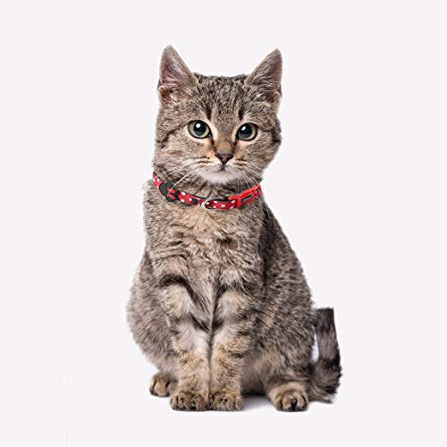 CERDÁ LIFE'S LITTLE MOMENTS Collar Perro Pequeño XS de Minnie Mouse - Licencia Oficial Disney Minnie Mouse, Cranberry