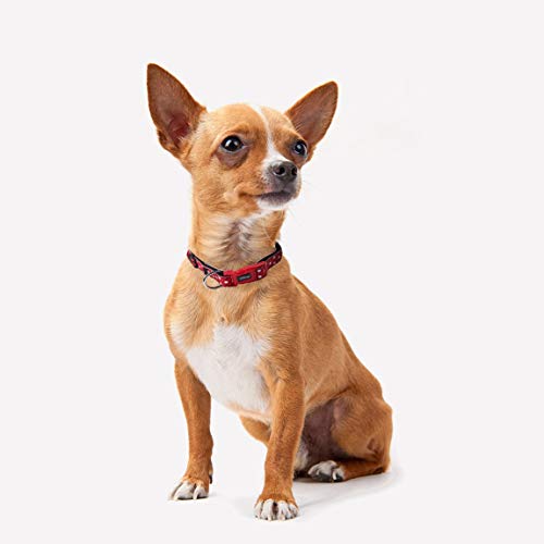 CERDÁ LIFE'S LITTLE MOMENTS Collar Perro Pequeño XS de Minnie Mouse - Licencia Oficial Disney Minnie Mouse, Cranberry