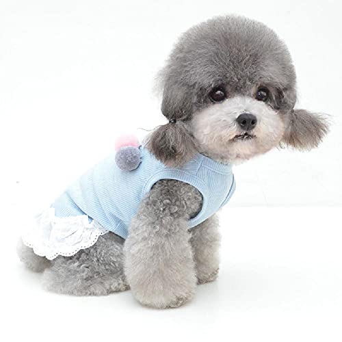 CGHPY Pinzas para Mascotas Vestido de Perrito Vestido Princesa Vestido Gato Ropa Gatito Falda Primavera y Verano,Blue-XXL