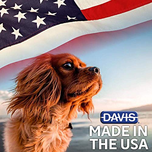 Champú Davis Degrease